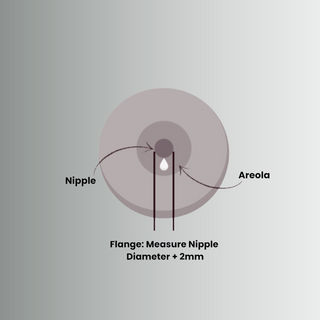 Complete flange set of the Bubka OG Electric Pump, with sizes ranging from 13mm to 24mm.